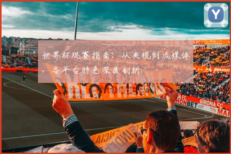 世界杯观赛指南：从央视到流媒体，各平台特色深度剖析