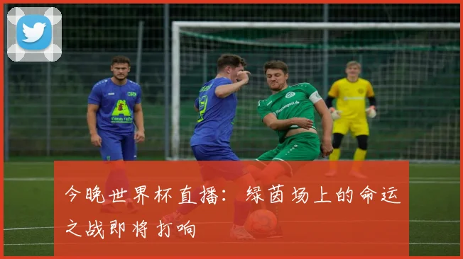 今晚世界杯直播：绿茵场上的命运之战即将打响