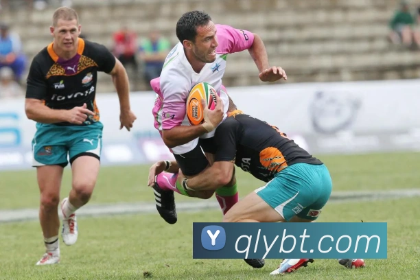 多媒体互动体验